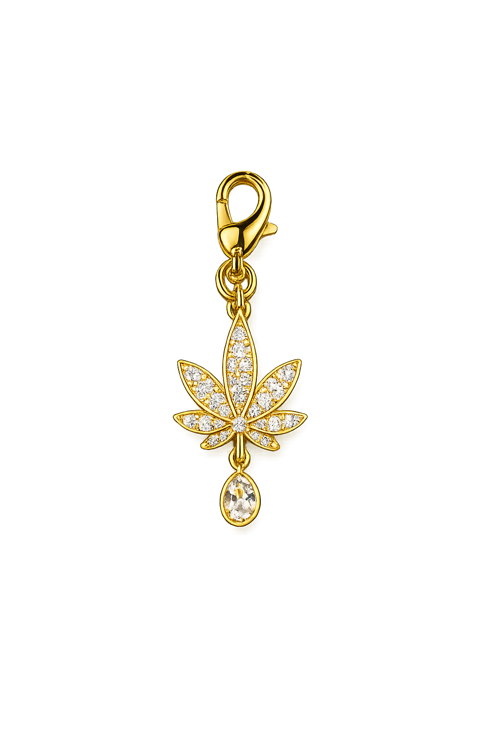 Canna-shine Charm