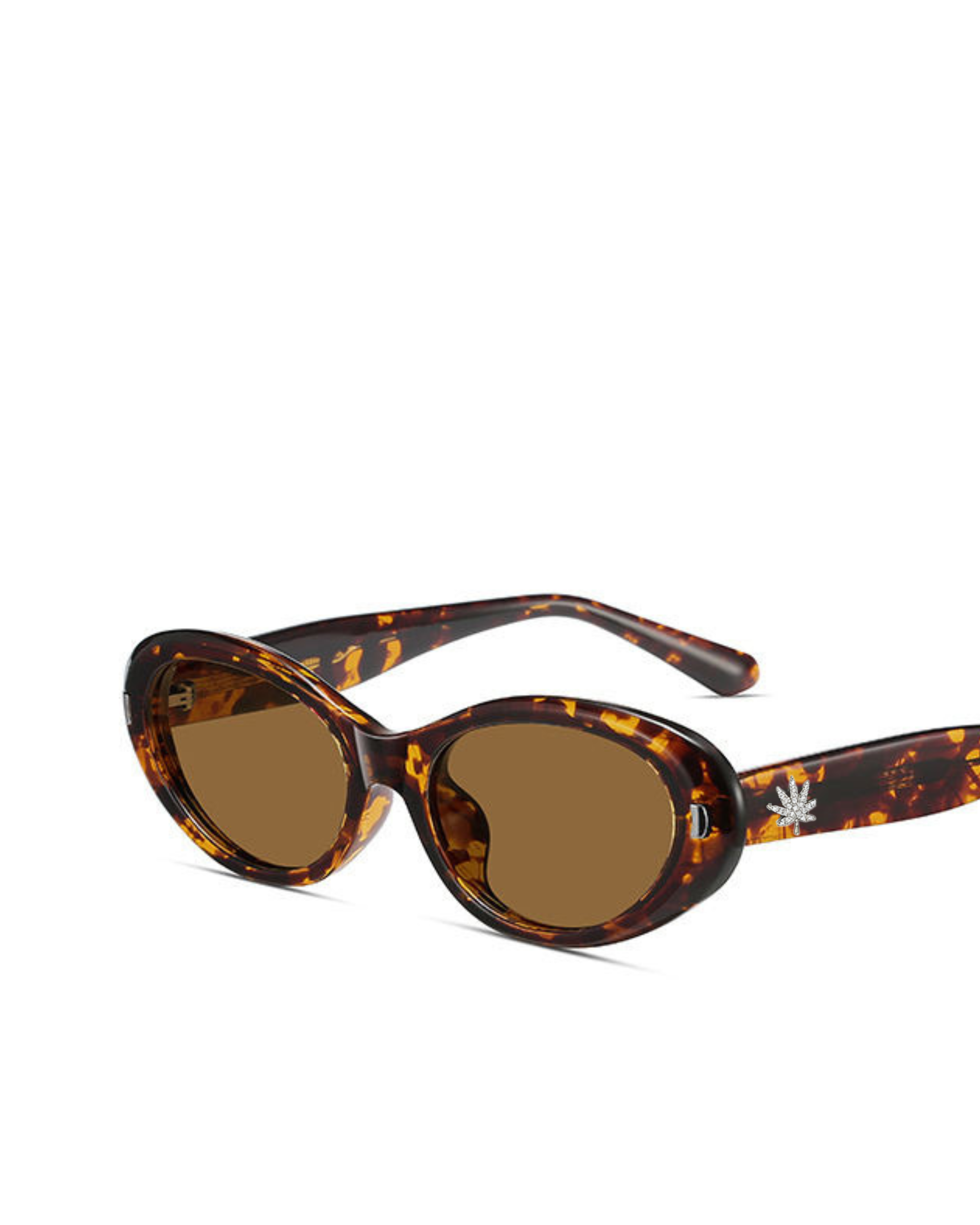 Oliver Glasses Tortoise: Greenhouse Vision Glasses