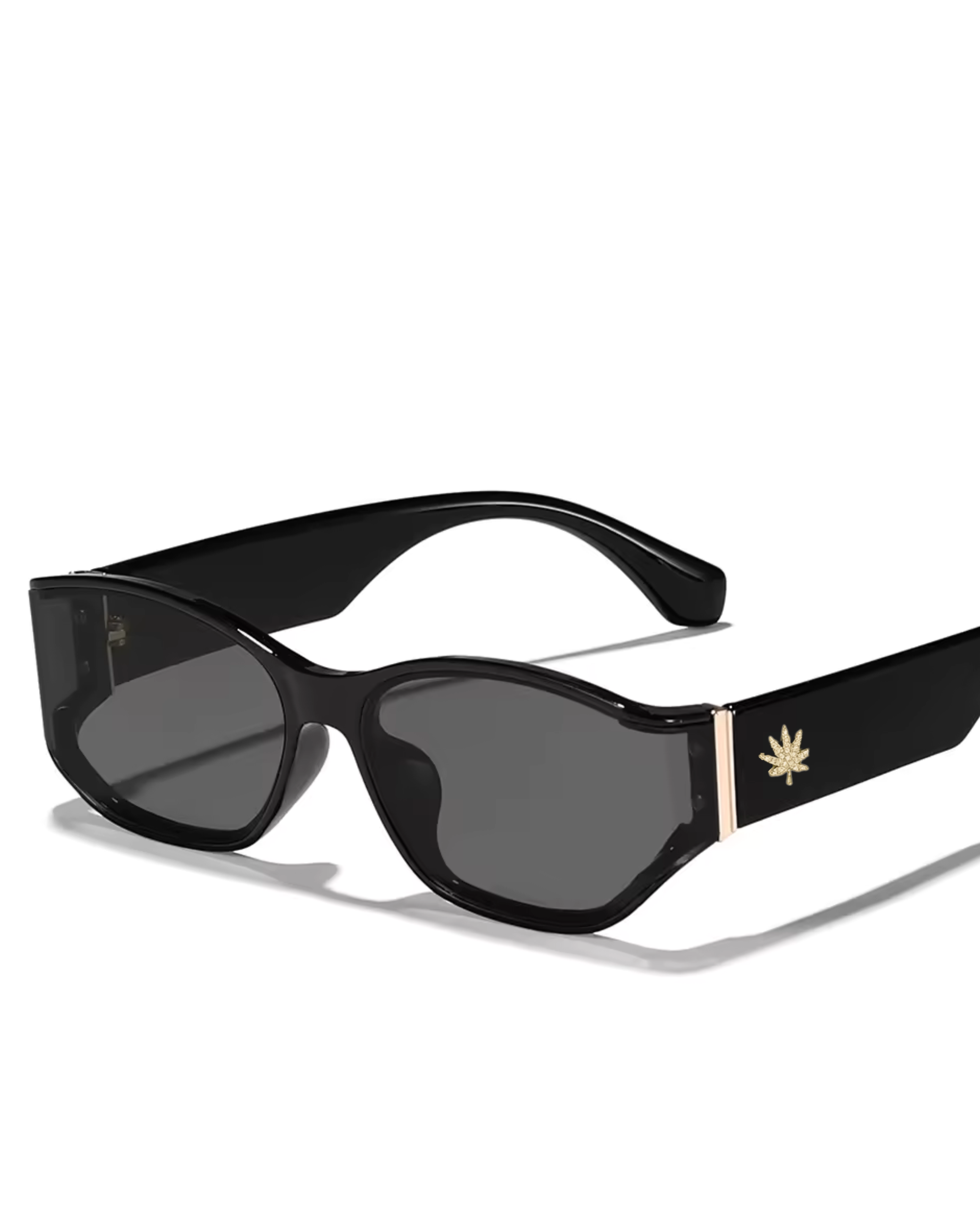 Pristine Glasses Black: Greenhouse Vision Glasses
